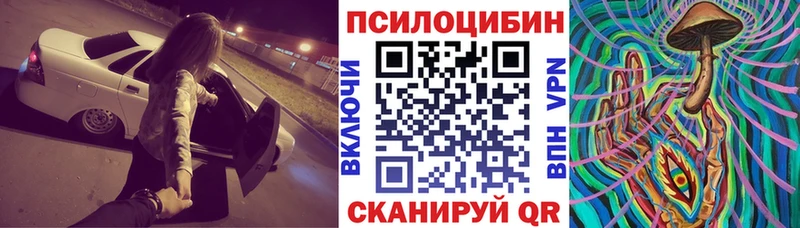 ОМГ ОМГ рабочий сайт  Будённовск  Псилоцибиновые грибы прущие грибы 