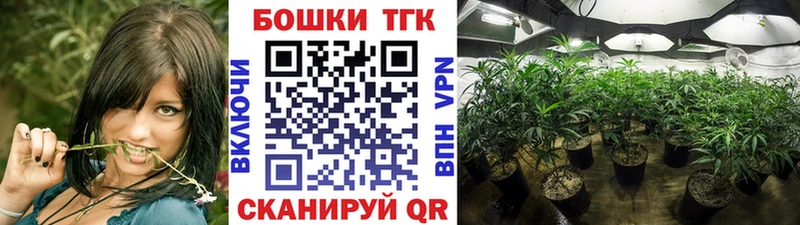 Конопля марихуана  Будённовск 